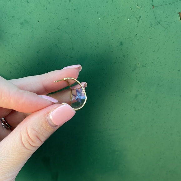 Handmade Real Pressed Dried Flower Botanical Resin Hoops - Picture 13 of 17